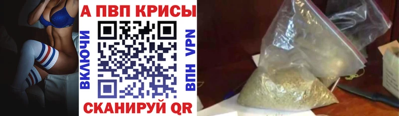 цены Советский мега ONION Alpha PVP крисы CK