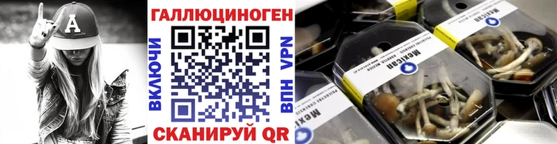закладки  Советский  Псилоцибиновые грибы мицелий 